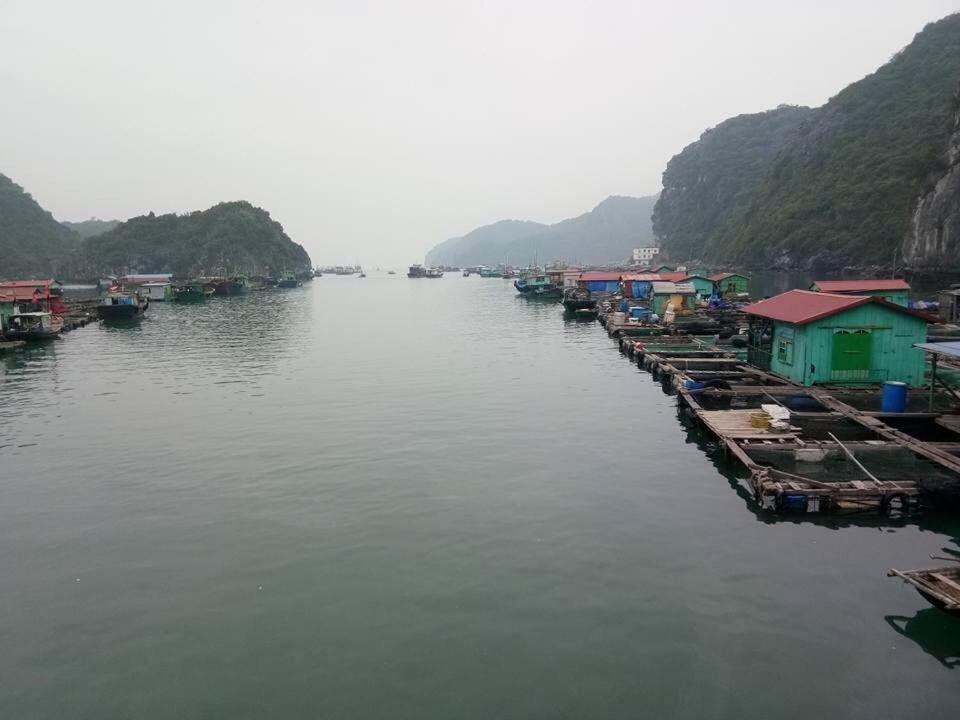 Cat Ba Daily Life Hotel Dong Khe Sau Dış mekan fotoğraf